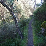 Walking along Merritts Nature Track