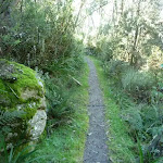 Walking along the Merrits Nature Track