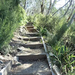 Steps on Merrits Nature Track