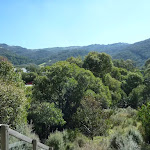 Looking across the Thredbo valley from the Pipeline Path