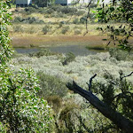 Glimpse of the pondage from the Pipeline Path