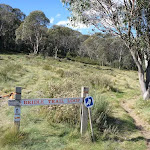 Bridle Trail Loop sign