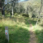 Bridle Trail Loop track