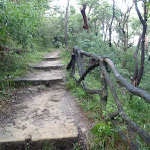 Steps near the Zoo