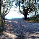 A waterview and beach at Freshwater Camping Area
