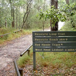 Track from Resolute Picnic Area