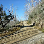Schlink Trail