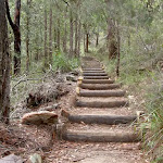 Stairs on West Head Lookout Track