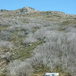 White Rivers Hut from Shlinck Trail
