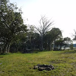 Grassy area to pitch a tent at Three Mile Dam campsite
