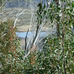 Glimpse of Tooma Reservior from  Dargals trail