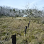 Old fence-line at Paton's Hut