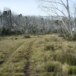 Trail leading to Paton's Hut
