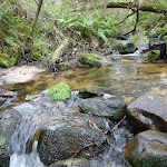 Swampy Plain Creek at Bradneys Gap Camping area
