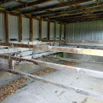 Inside Bullocks Hut stable