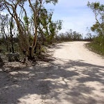 The service trail to the Basin