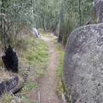 Granite boulder on Bullocks Track