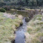 Bull Creek and Threbo River