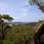 View over Pittwater from The Basin Track