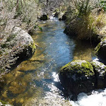 Sawpit Creek