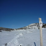 Rock Creek snowshoe pole line