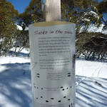 Tracks in the snow information sign