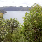 Views over the Hawkesbury