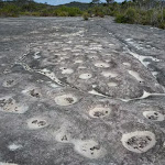Tessellated Rock Platform close to West Head Rd.