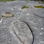 Aboriginal Rock Engraving, close to West Head Rd.  