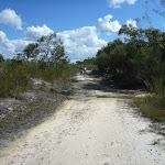 Elvina Track near intersection with top of Fredricks track