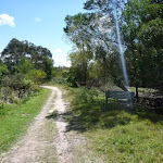 Trail, close to Nerang Rd, Terrey Hills