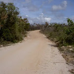 The Basin Track to Aboriginal Engravings