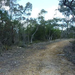 Smiths Creek Trail, near Terrey Hills