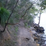 Track between Apple Tree Bay and the Int of the Berowra and Mt Ku-Ring-Gai Tracks