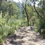 View from Smiths Creek Trail, near Terrey Hills
