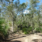 Smiths Creek Trail, near Terrey Hills
