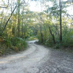 Perimeter Trail, near Terrey Hills