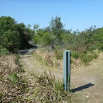Henry Head Track, near La Perouse