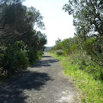 Trail near Henry Head