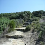 Stone steps, near Henry Head