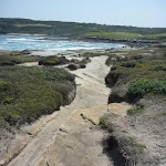 Cape Banks rocky track