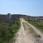 Cape Banks management trail