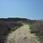 Cape Banks trail, near Cape Banks