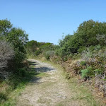 Coastal Cemetary Trail, near Botany Bay National Park