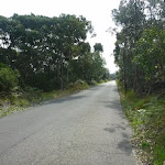 Henry Head Lane, near Botany Bay National Park