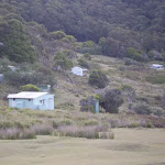 The Depression Houses