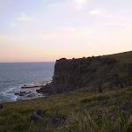 The view of the coast from the grasslands south of Burning Palms Beach