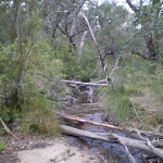 There are occassional obstacles along the trail