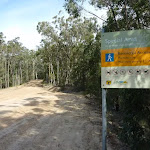 Large clearing and Special Area boundary on Sublime Point Trail west of Leura Falls Creek