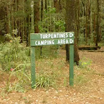Sign to Turpentines camping area in the Watagans